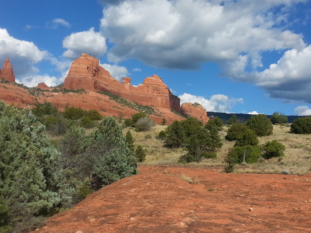 Sedona Vortex Adventures: Damfino Canyon