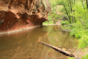 Sedona Vortex Adventures Carroll Canyon Stream