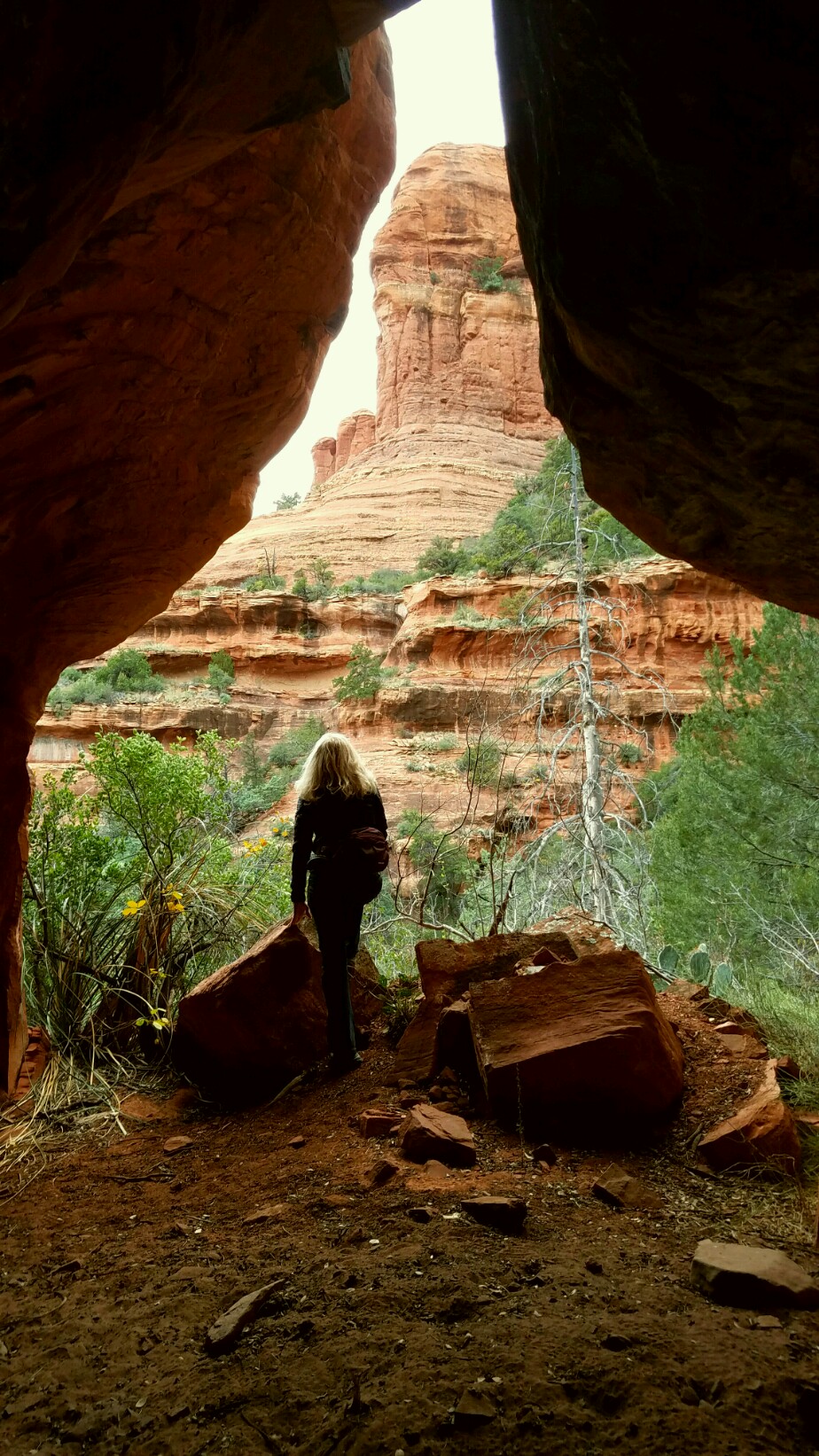 vortex tour in sedona