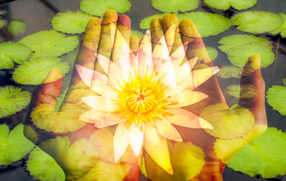 lotusinhandsforhealingretreat Sedona Vortex Adventures