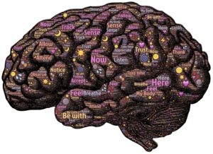 Image of the brain-meditation