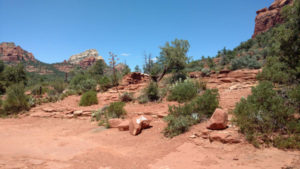 Hiking trail in Sedona-Soldiers pass trail