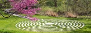 a labyrinth path in grass-Labyrinth Walking