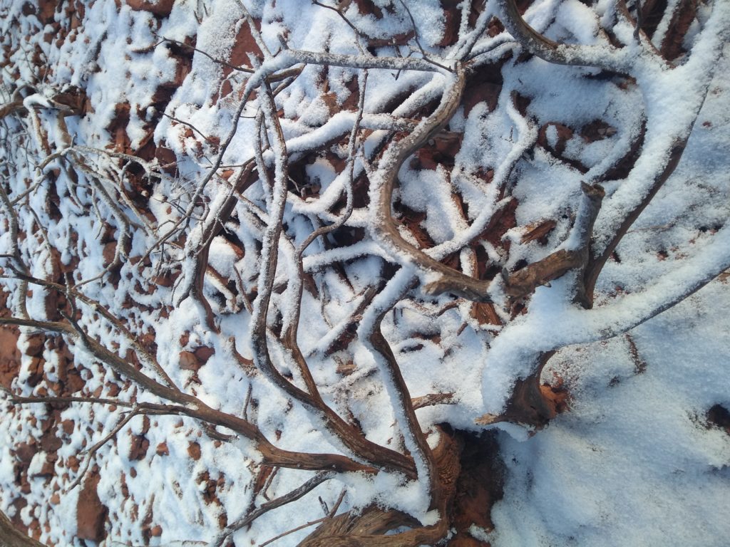 Snow blanketing the ground-Winter is Sedona