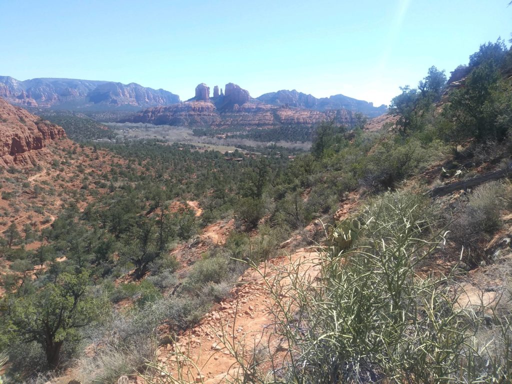 Image of a trail near Cathedral Rock-Ridge Trail